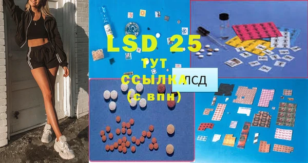 прущие грибы Баксан