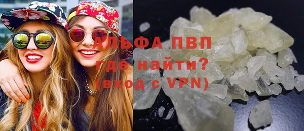 прущие грибы Баксан