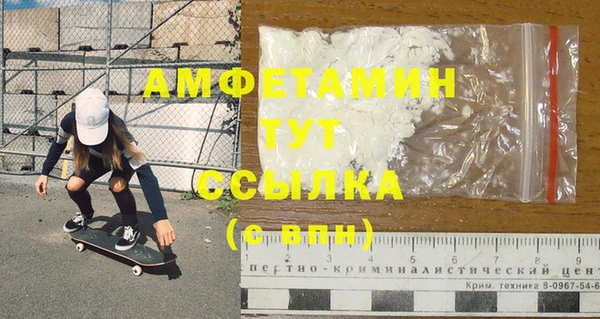 прущие грибы Баксан