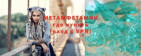 прущие грибы Баксан